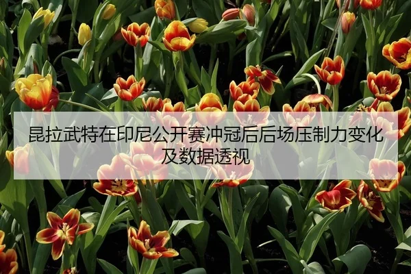 昆拉武特在印尼公开赛冲冠后后场压制力变化及数据透视