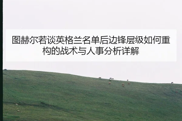 tu-he-er-ruo-tan-ying-ge-lan-ming-dan-hou-bian-feng-ceng-ji-ru-he-zhong-gou-de-zhan-shu-yu-ren-shi-fen-xi-xiang-jie-1-188.jpg